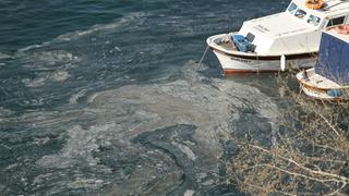 Çanakkale sahillerinde müsilaj görüldü