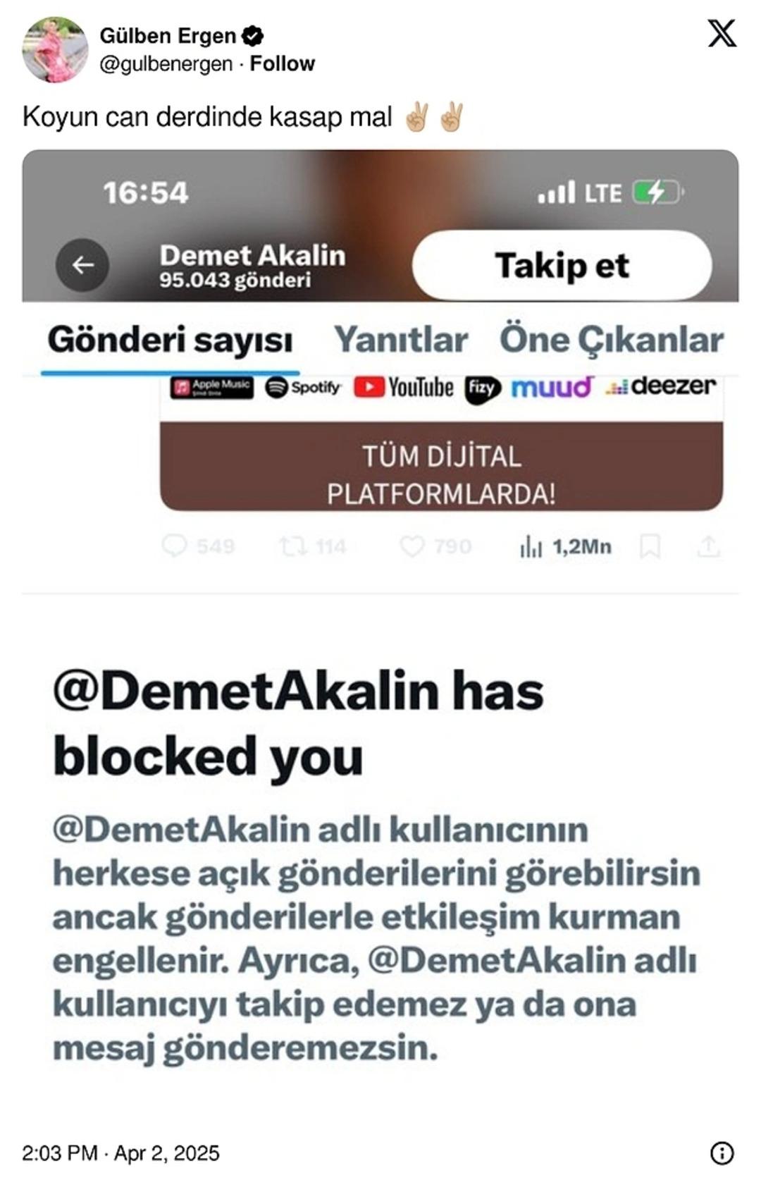 Engellediğini duyurdu, yaptığı yorumu görünce kendini tutamadı! Gülben Ergen ve Demet Akalın yine birbirine girdi 2