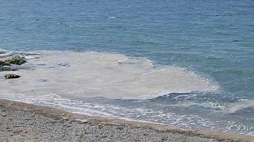 Yalova kıyılarında müsilaj görüldü