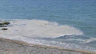 Yalova kıyılarında müsilaj görüldü