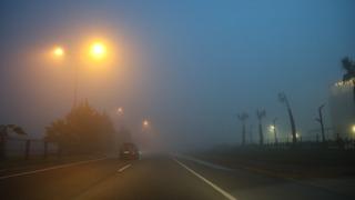Aydın-Muğla yolunda yoğun sis