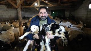 Besiciler oğlak ve kuzuları büyütme telaşında