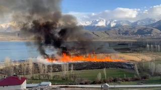 Van'ın Göründü deltasında yangın