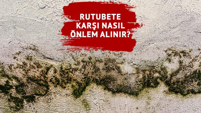 'Hasta bina sendromu' hastalık saçıyor! Rutubete karşı alınması gereken önlemler nelerdir? Uzmandan öneriler...