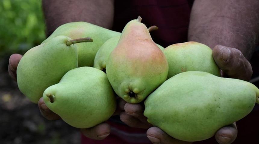 İlginç olayın adresi Antalya! Hararetli trafik kavgasında armut Yargıtay'dan silah olarak geçti...