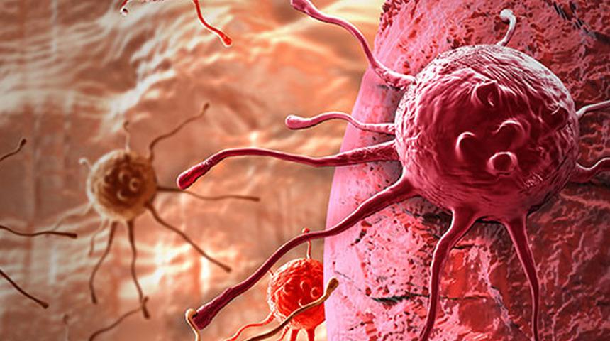 Bu kanser türlerine geliştirilmiş tarama testleri yapılıyor: Erken teşhis mümkün! Uzmandan çarpıcı açıklamalar...