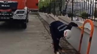 Şanlıurfa'da mazgala düşen yavru kedi kurtarıldı