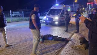Alkol komasına giren vatandaşı sokak köpeği yalnız bırakmadı