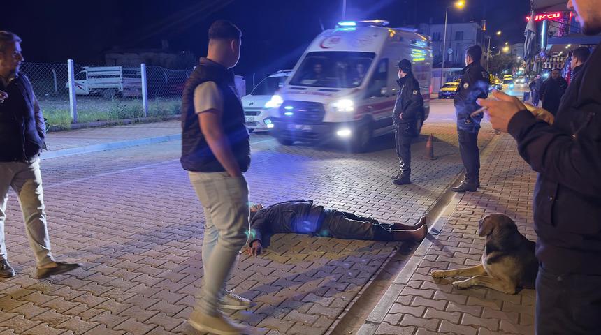 Alkol komasına giren vatandaşı sokak köpeği yalnız bırakmadı