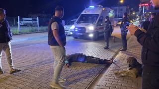 Alkol komasına giren vatandaşı sokak köpeği yalnız bırakmadı