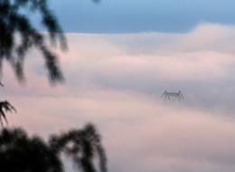 Bayram dönüşü hava ulaşımına sis engeli! İstanbul'da etkili oluyor, Sabiha Gökçen'de bazı uçuşlar iptal