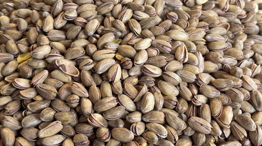 Türkiye'den yılın ilk çeyreğinde 59,7 milyon dolarlık fıstık ihraç edildi