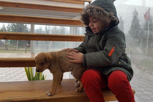 &Ouml;ğrenci ve sporculardan duyarlı davranış 2