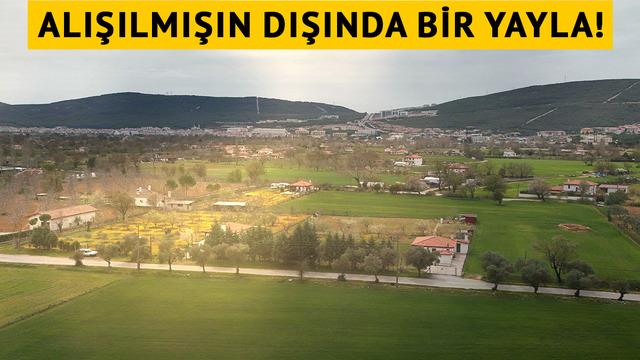 Çıkılmıyor, iniliyor! Türkiye'deki bu yaylanın benzeri az bulunur... Üstelik herkesi şaşırtan bir özelliği daha var