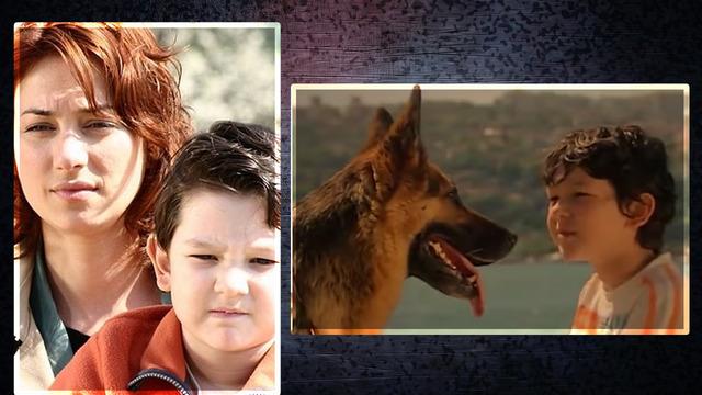 Aliye dizisinin Arda'sı Ayberk Koçar büyüdü! Son hali ve mesleği merak edildi