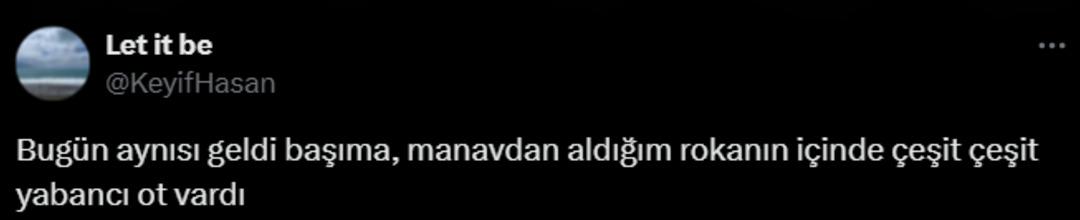 Marketten maydanoz alan kadın poşeti açınca ne olduğunu anlayamadı! Siz bilmeden sakın yemeyin 5