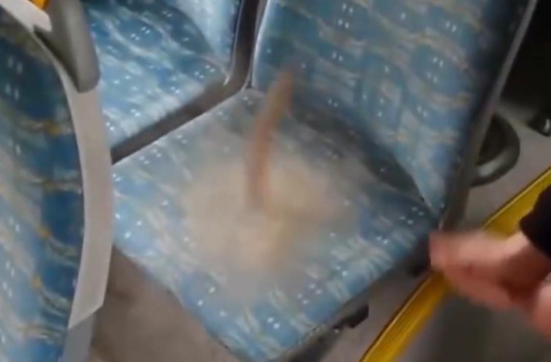 Her gün milyonlarca insan kullanıyor! Koltukların içinden çıkanı görünce bir daha oturmak istemeyeceksiniz! Kullanıcılar videoya yorum yağdırdı... 2