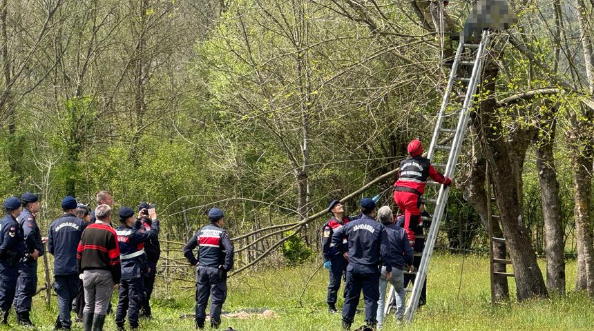 Budamak için çıktığı ağaçta fenalaştı, hayatını kaybetti