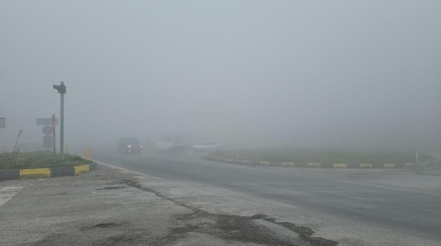 Zonguldak'ta yoğun sis meydana geldi! Araçlar yolda ilerlerken zorlandı...
