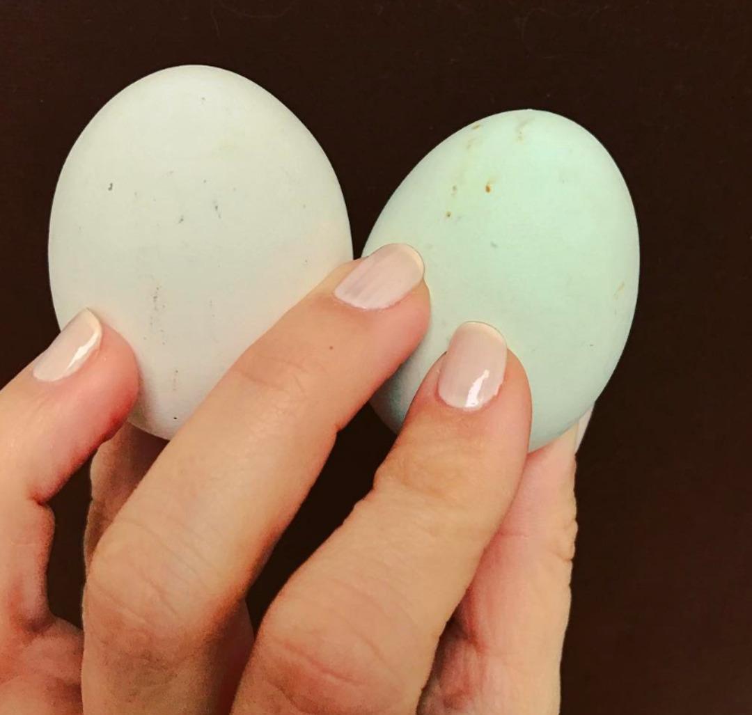 Berna Laçin yumurta fiyatlarını görünce isyan etti: "9 ay önce 2 lira olan yumurta şimdi 10 lira" 2