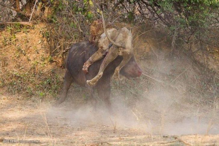 Bu kez işler ters gitti! G2