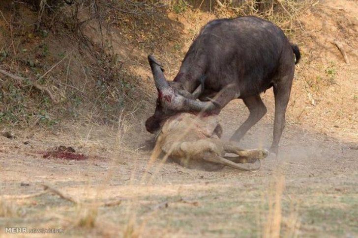 Bu kez işler ters gitti! G3