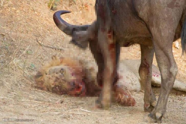 Bu kez işler ters gitti! G4