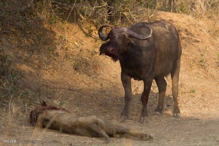 Bu kez işler ters gitti! G5