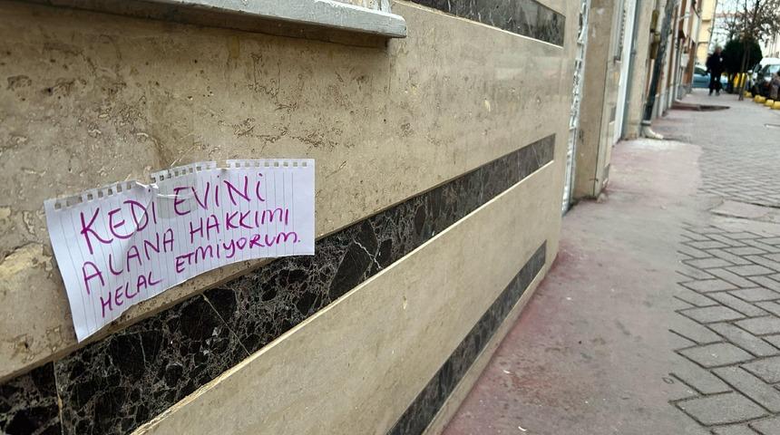 Kedi evi çalınınca sokağa astığı yazıyla dikkat çekti