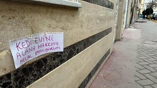 Kedi evi çalınınca sokağa astığı yazıyla dikkat çekti