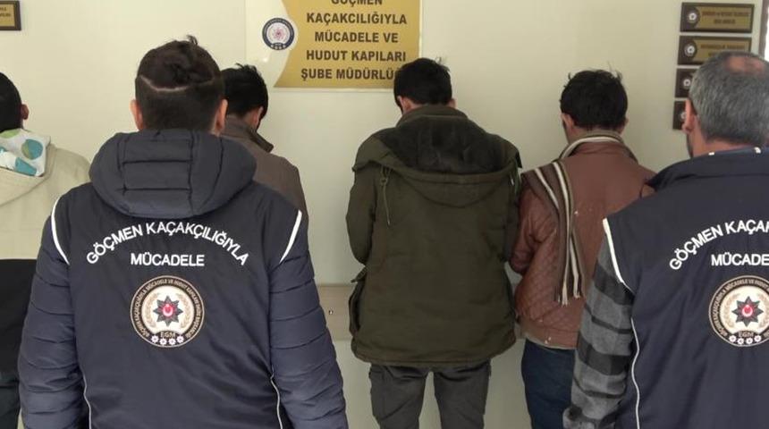 Amasya'da koyun taşıyan 2 tırdan 5 kaçak göçmen çıktı
