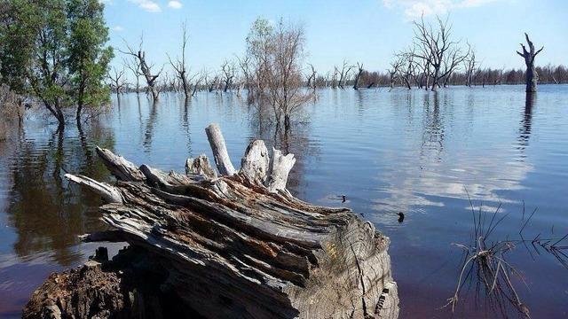 Kenya'da 6 kişi kolera salgınından yaşamını yitirdi