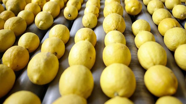 Bakan Bolat duyurdu! 24 saatte önce yasaklandı sonra serbest kaldı... Limon ihracatında yeni gelişme