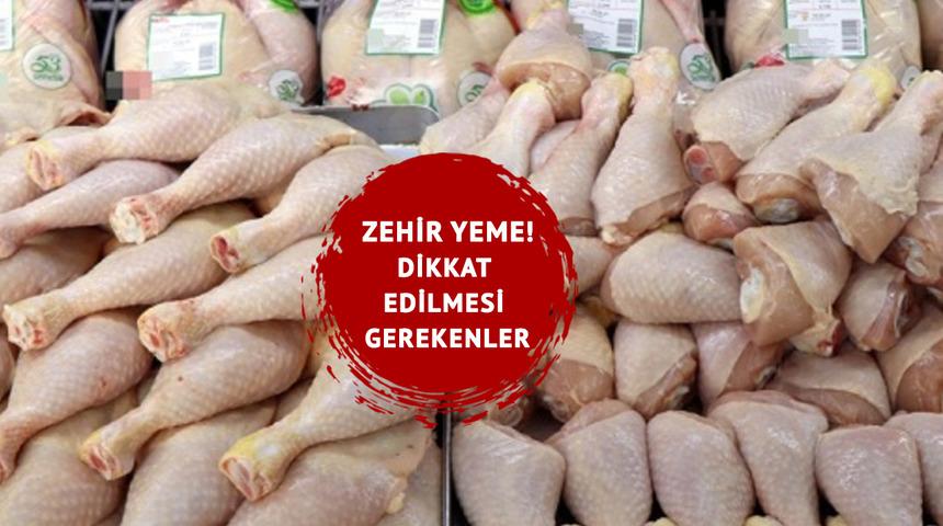 Tavuk eti zehirlenmelerine dikkat! Salmonella bakterisi nedir? Bulaşma riski var: Uzmandan çarpıcı açıklamalar...