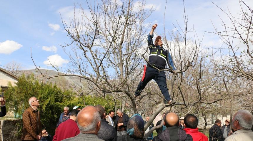 Erzincan&rsquo;da budama kursuna yoğun ilgi