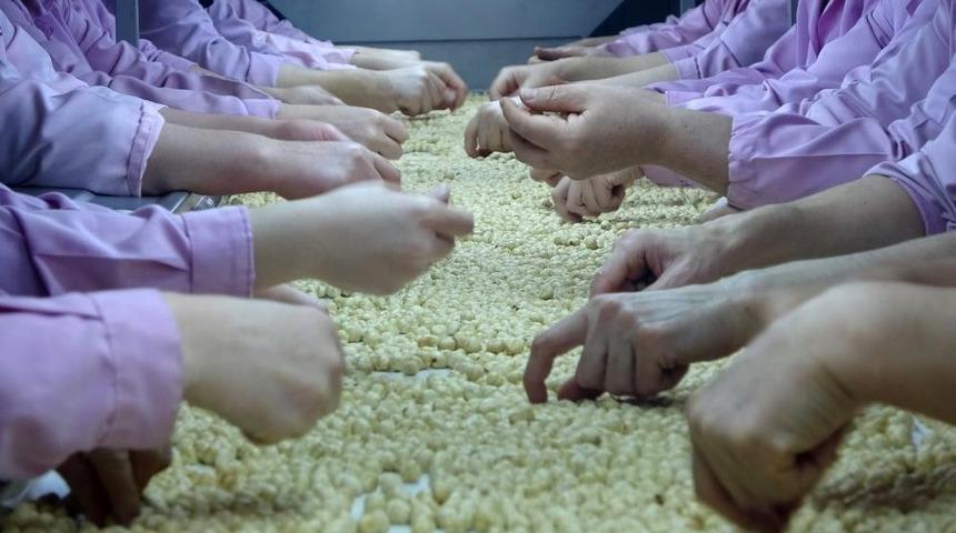 9 bin tona yakın gönderildi! Sayısız ülkeye Düzce'den ihraç ediliyor