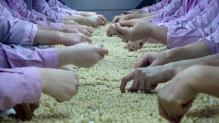 9 bin tona yakın gönderildi! Sayısız ülkeye Düzce'den ihraç ediliyor