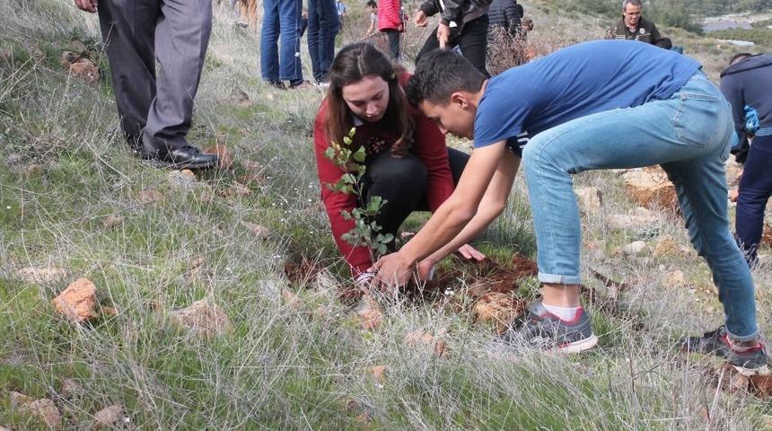 Şehitler anısına fidan diktiler