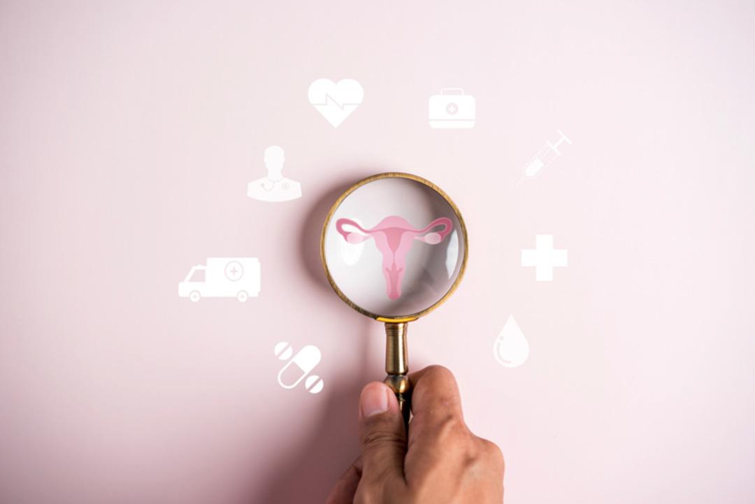 iStock-1445681409