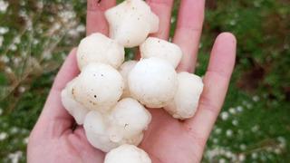 Gevaş'ta ceviz büyüklüğünde dolu yağdı! Apar topar evlerimize kaçtık