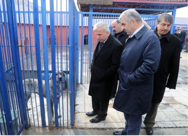 Vali Süleyman Kamçı, Kayseri Geçici Köpek Bakımevinde incelemelerde bulundu