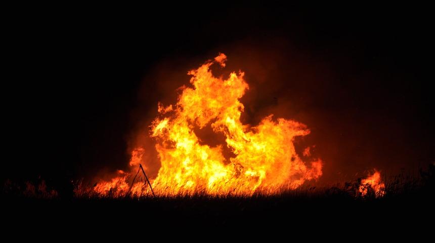 Mersin'de Göksu Deltası'nda çıkan yangına müdahale ediliyor