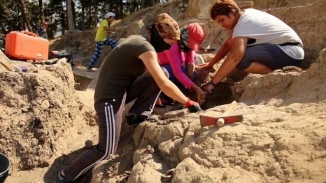 Yumuktepe'de 6500 yıllık saray bulundu