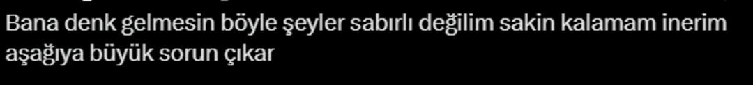 Ekran görüntüsü 2025-04-10 115447