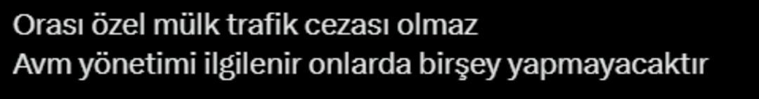 Ekran görüntüsü 2025-04-10 115537
