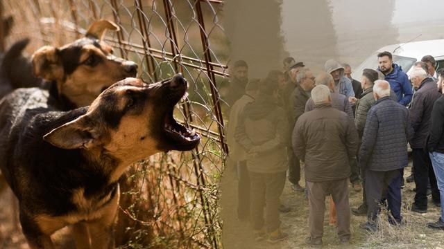 Gümüşhane'de köylerine köpek barınağı yapılacağını duyan vatandaşlar ayaklandı