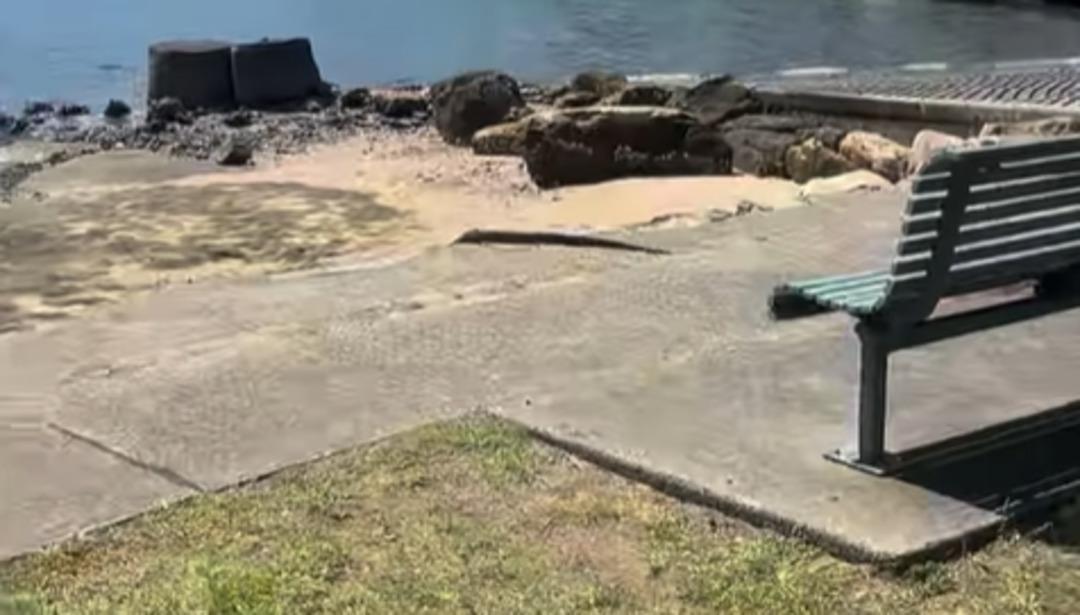 Şehrin göbeğinde görüldü! Yakalamaya çalışmayın uyarıları yapıldı! Herkes peşinde... 2