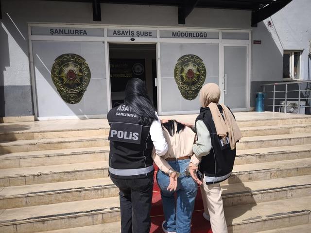 Şanlıurfa’da çeşitli suçlardan aranan 12 şahıs yakalandı