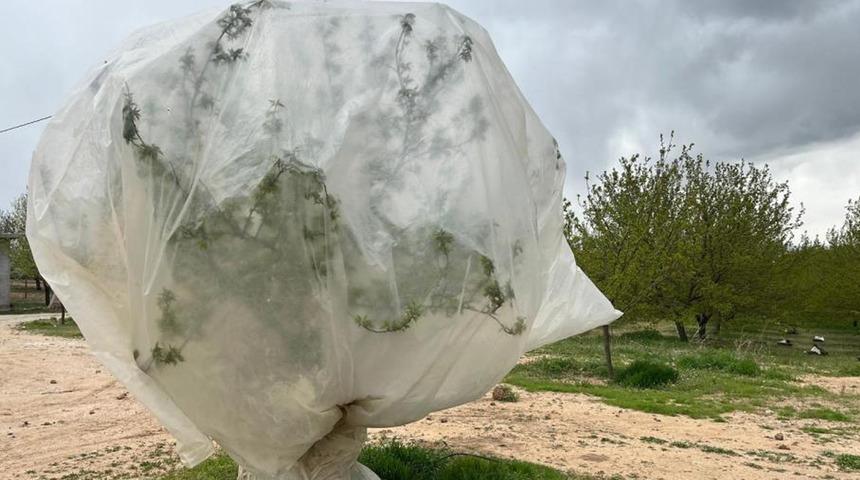 Malatya'da kayısı üreticilerinden "zirai don" önlemi