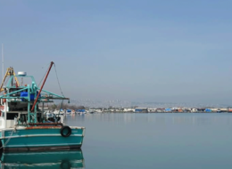 Küçük ölçekli balıkçıları destek başvurularının süresi uzatıldı!